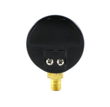 Black-backed regulator gauge, rear view